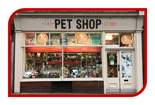 Criação de Site para Petshop